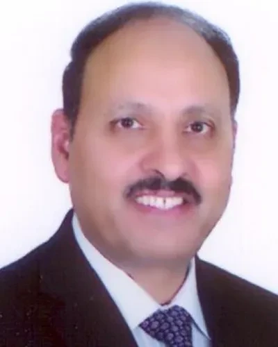 Prof. Abdel Razik Sebak